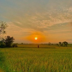 Trời Cao Có Thấu - Hồ Phi Long/ Trường Lê ( Lofi )