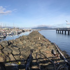 Tempted (orig. Squeeze)