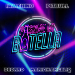 Pasame La Botella (feat. Mariah Angeliq)