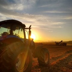 #BOEREN MIXTAPIES!👩🏼‍🌾🍻