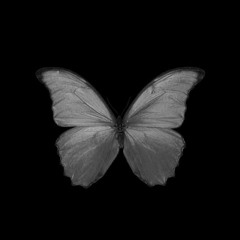 أَرَاكُمْ رَاحِلِينَ وَلَنْ تَعُودُوا ...آكَادُ أَصِيحُ إِخْوَانِي خُذُونِي :")