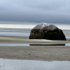 That’s Just the Way It Is