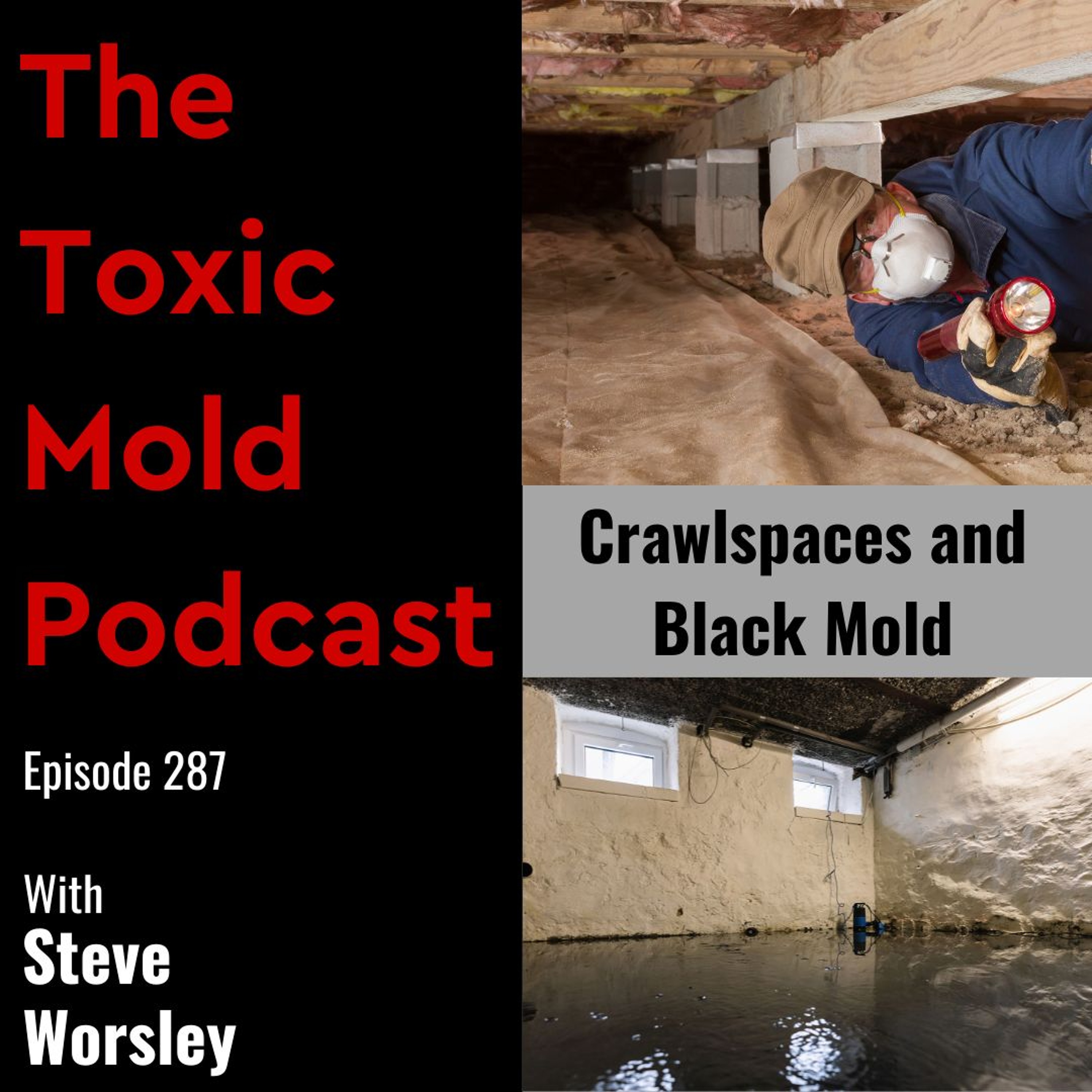 The Toxic Mold Podcast