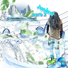 puddle of problems w ginks-#aero2