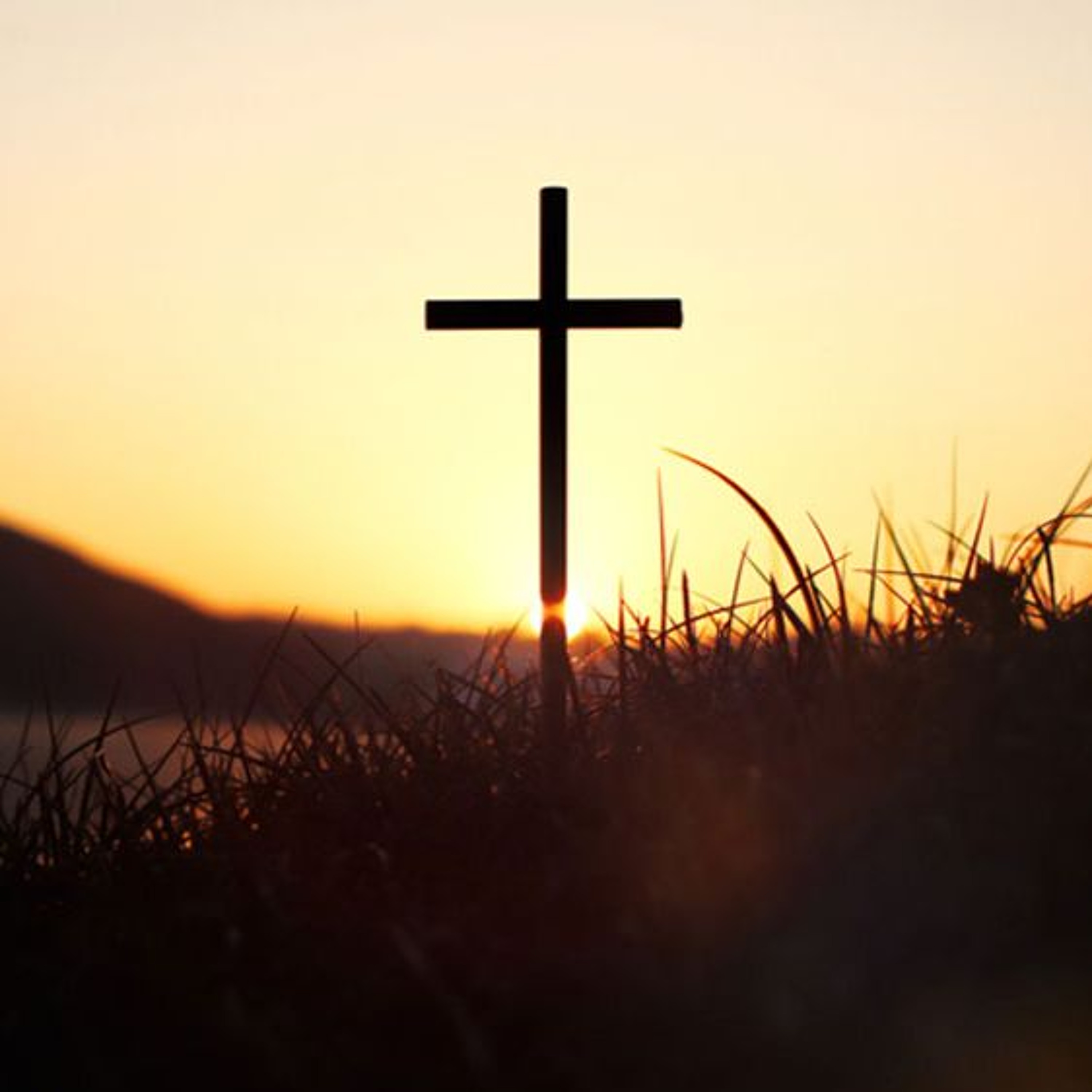 Suffering for and with Christ episode artwork