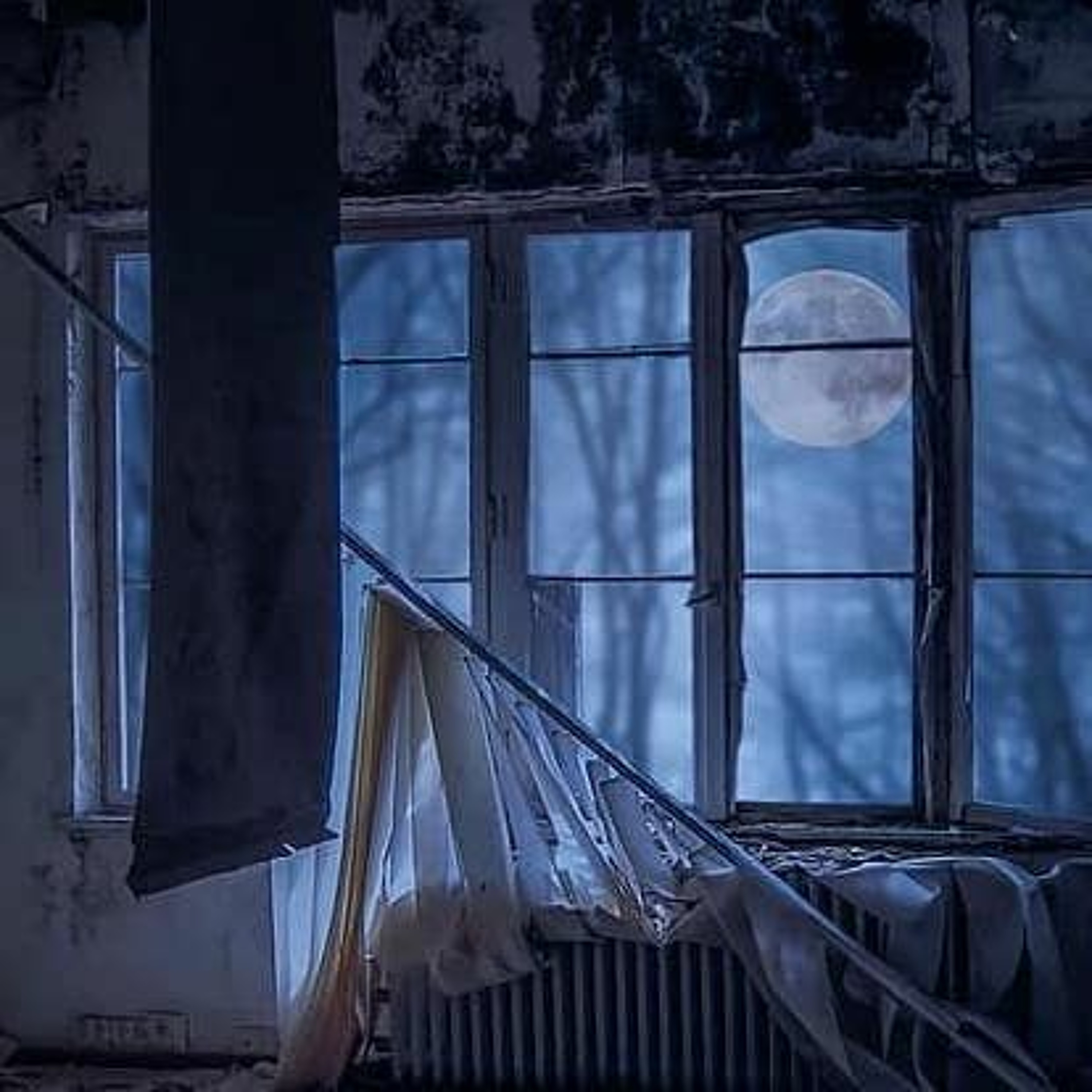 Talking to the Moon