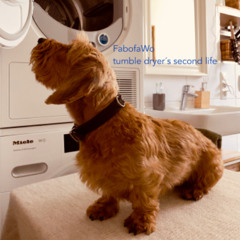 tumble dryer´s second life