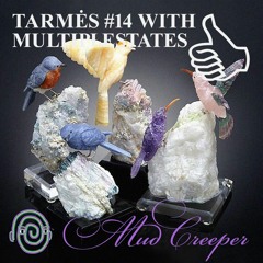 TARMĖS #14 WITH MULTIPLESTATES