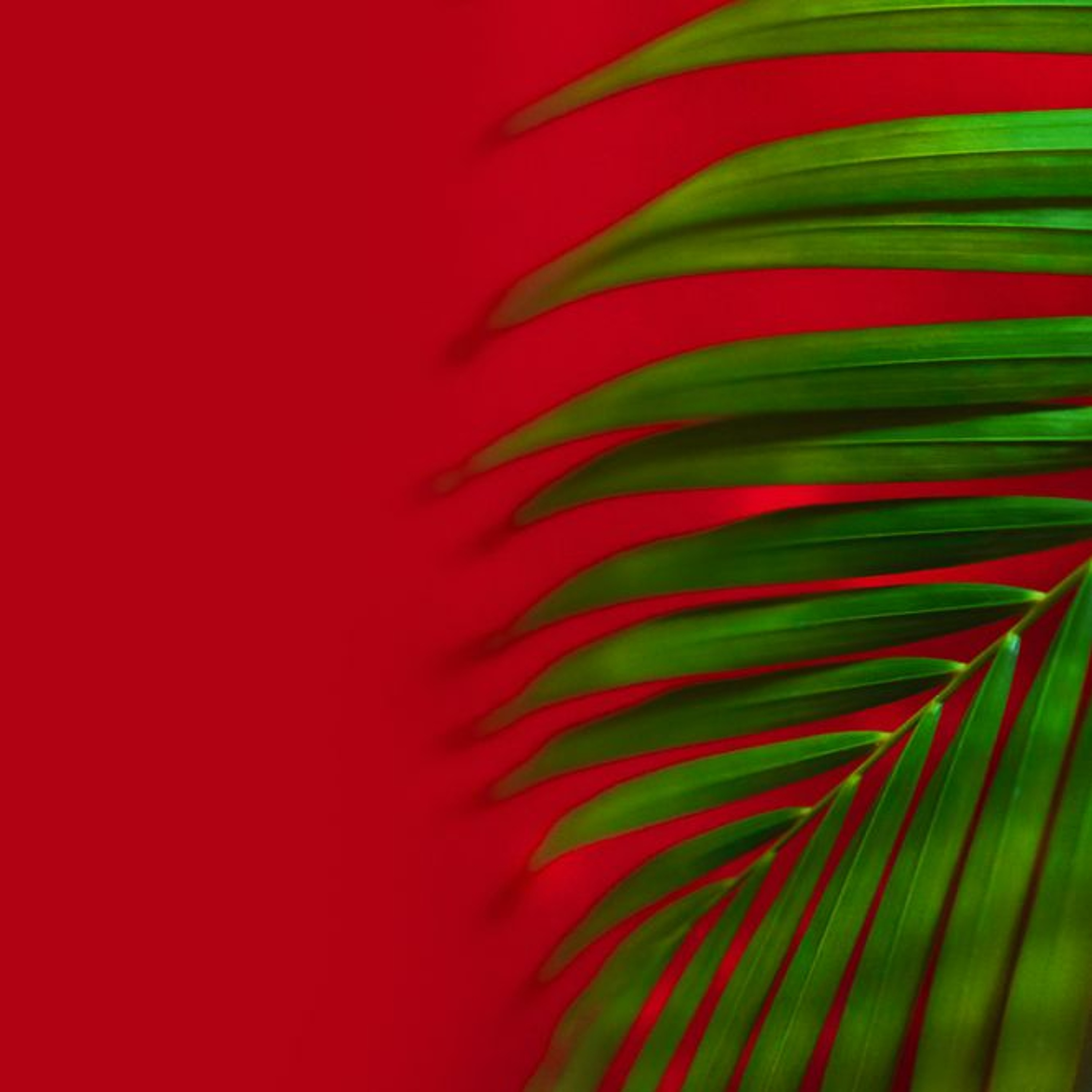 Faith Hope And Love Ep 413  Palm Sunday Of The Passion Of The Lord -A episode artwork