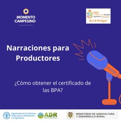 BPA: certificación y producción inocua (Parte 2)