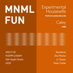 Caley and Experimental Housewife - Live at MNML:Fun, Underground SF, San Francisco (11-25-22)