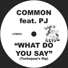 Common Ft. PJ - What Do You Say (Turbojazz's Flip)