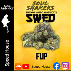 Soul Shakers -SWED(Smoke weed everyday) (Flip)