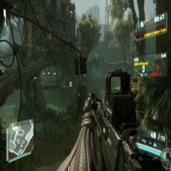 crysis (perfectmakeup)