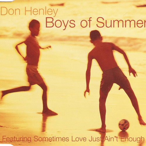 Don Henley - Boys of Summer (Nintendo DS Style)
