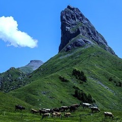 #episode1 - Retour À La Terre  - 02:09:2020 09.29