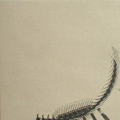 Cyanide "Polymorphe" INDEX 0.4