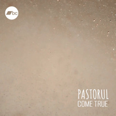 Pastorul - Come True (original mix)