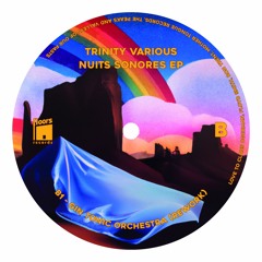 PREMIERE: Gin Tonic Orchestra - Nuits Sonores (Rework)