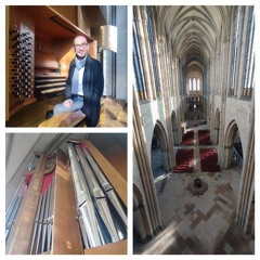 Klingende Kathedrale: Christian Otto macht die Musik am Magdeburger Dom