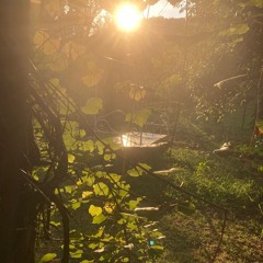 Paradox - La Tibana Eclectric Afternoon 20-09-2025