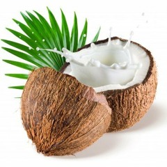 Coconuts & Palm Trees Mix 2019