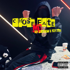 Chose my Fate Ft. Stattic x Lil Bap