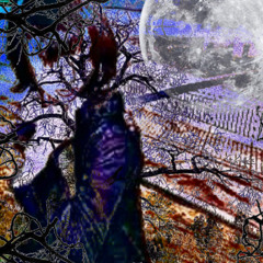 m00nLight #anglecraft #eternalsleep