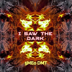 i saw the dark