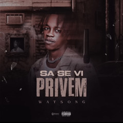 SA SE VI PRIVEM (WATSON-G)REFLÈM.