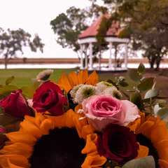 Bridal Suite- Overture