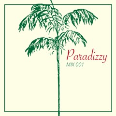 Paradizzy - Mix 001