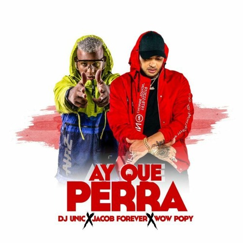 DJ Unic, Jacob Forever, Wow Popy - Ay Que Perra (2020)