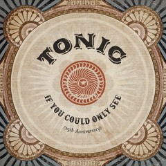 If You Could Only See - Tonic Cover