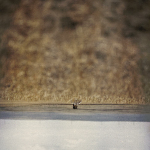 A Man's Mind Will Play Tricks on Him (Edit)