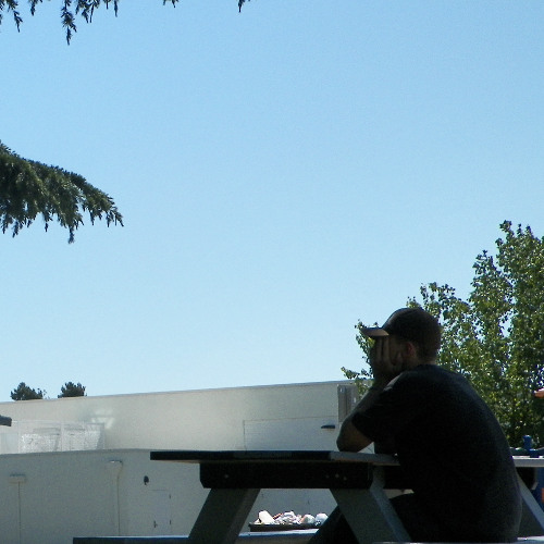 At Least Say Goodbye