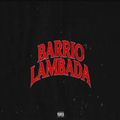 Fred De Palma - Barrio Lambada (Salvo La Mela Remix) 2025