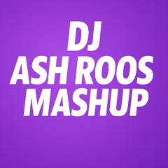 You Can't Hide X Ladies [DJ ASH ROOS MASHUP 002]
