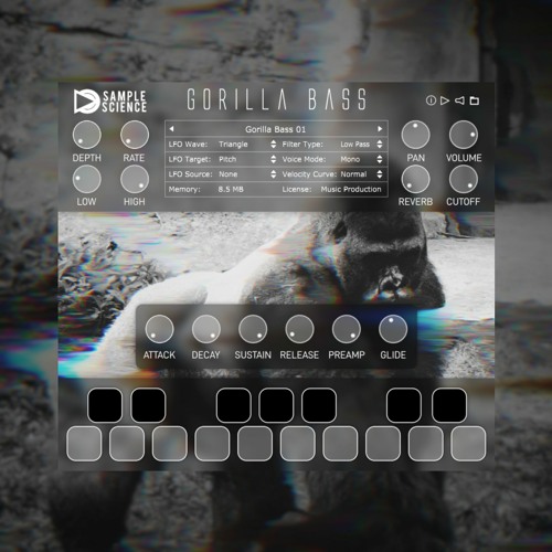 Gorilla Bass Audio Demo