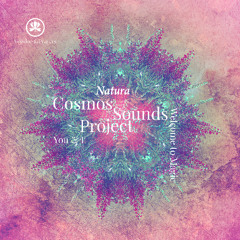 Cosmos Sounds Project - You & I [Voodoo & Prayers]