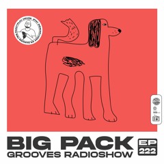Big Pack presents Grooves Radioshow 222