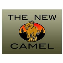 The New Camel - Demo - Thompson Creative
