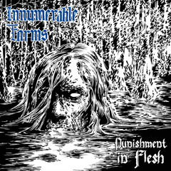 Firmament