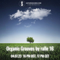 Organic Grooves by ralle 16, 04.07.23