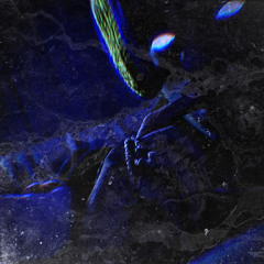 Midnight