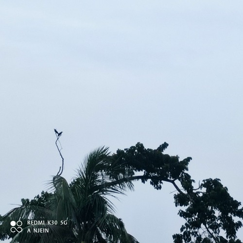 Copy of [ໂສມງາມ-โฉมงาม]–_{STS_73}_[Slowed+Reverb]