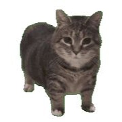 Bhertuy - ignorance (feat. Roan)