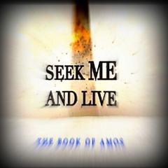 2-11-25 SEEK ME - Am I Last on Your List, or First Priority - It's Your Divine Destiny