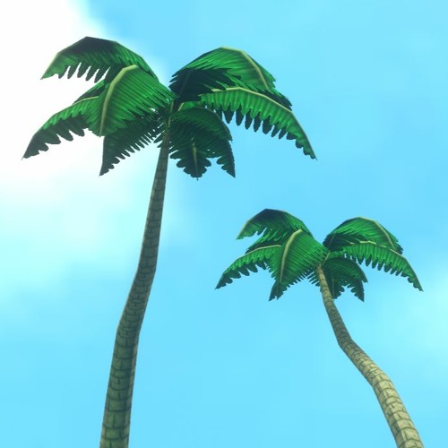 Palm Tree