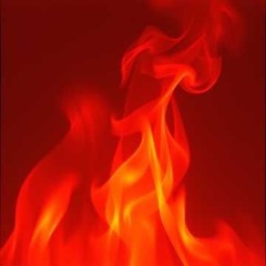 Reflections in the Fire